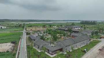 图十一.jpg