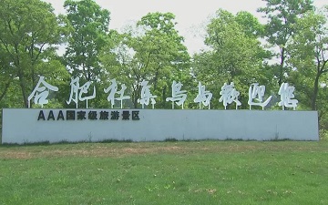 图十二.jpg
